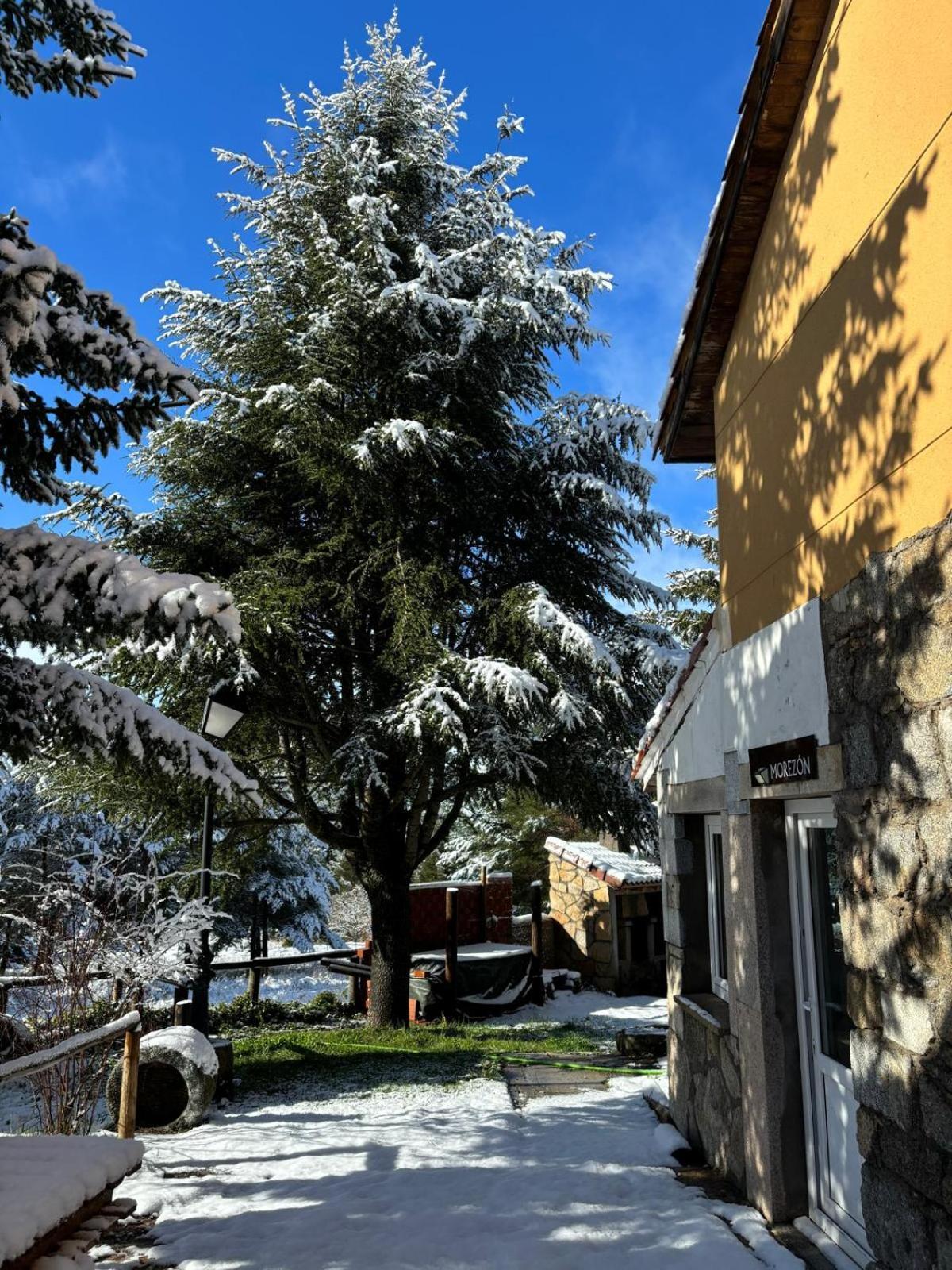 Altogredos Hotel Rural Y Apartamentos Turisticos Hoyos del Espino Ngoại thất bức ảnh
